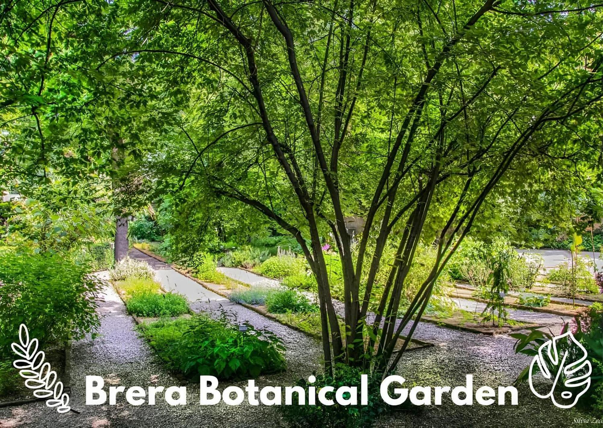 Brera Vip Spotlight - Brera - Duomo - Castello Sforzesco - Lanza Metro M2 Apartment มิลาน ภายนอก รูปภาพ